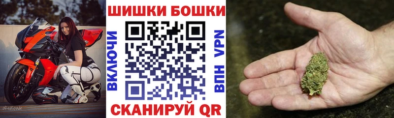 Каннабис индика Ленск